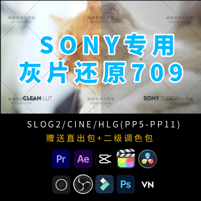 Sony索尼灰片还原709转换LUT预设剪映PR达芬奇HLG/slog/cine调色