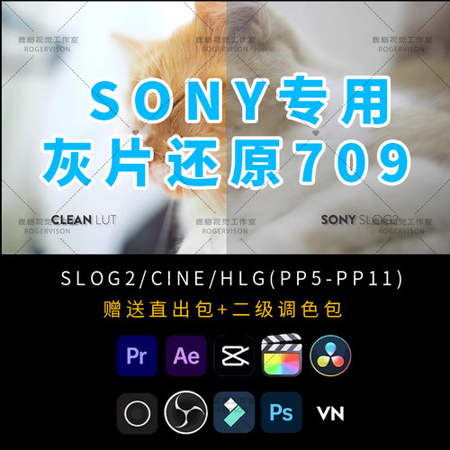 Sony索尼灰片还原709转换LUT预设剪映PR达芬奇HLG/slog/cine调色