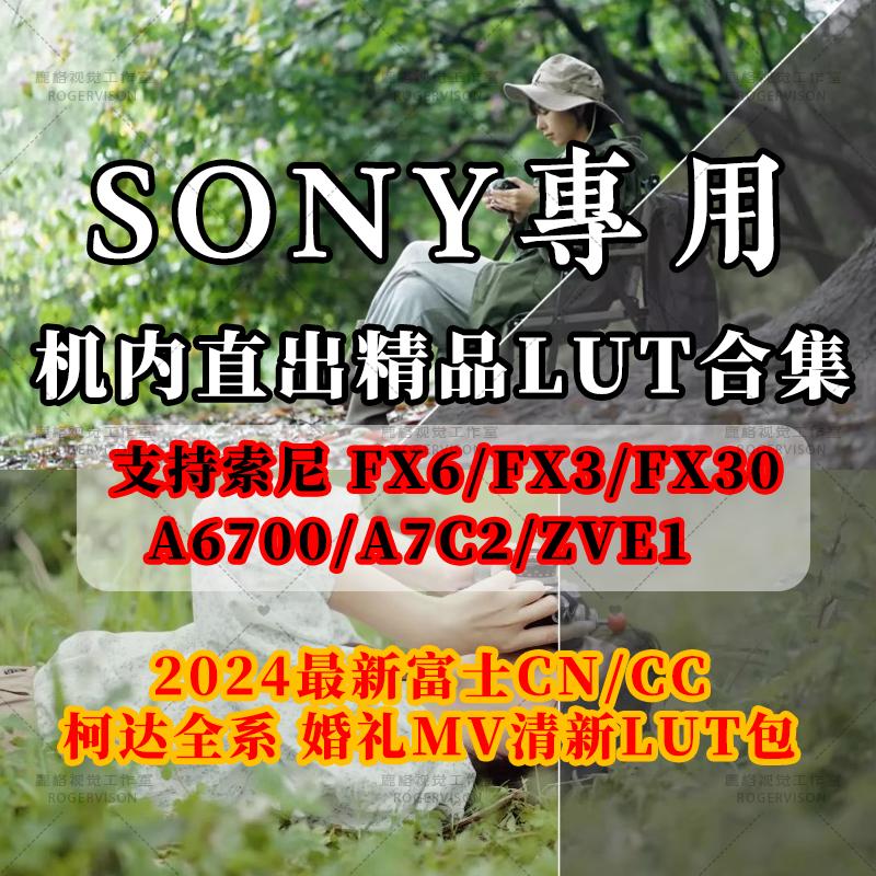 索尼机内lut婚礼清新人像电影感胶片富士phantom柯达调色直出预设
