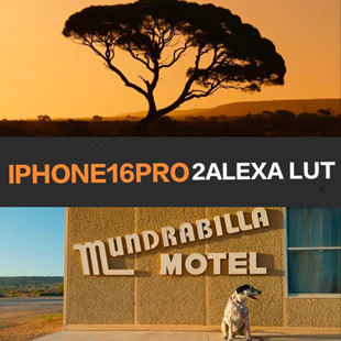 iPhone16 Pro转阿莱LUT,JUAN MELARA iPhone16 Pro to Alexa LUT
