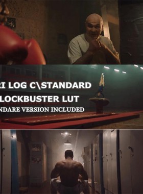 Arri Log c专业调色 Luts ，Log c + Rec709 56款