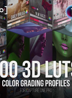 Capture One Pro大师系列 100个3D LUT 调色配置文件(WIN + MAC)