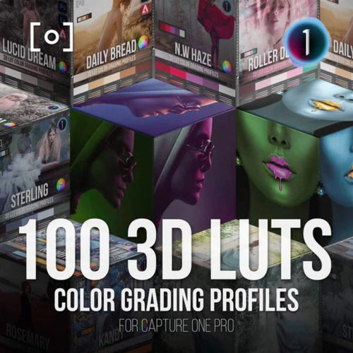Capture One Pro大师系列 100个3D LUT 调色配置文件(WIN + MAC)