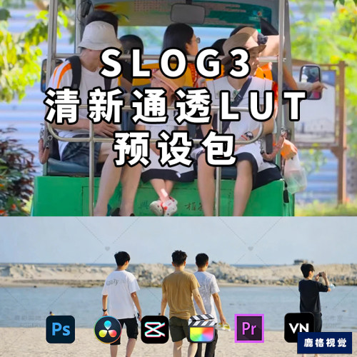 索尼slog3日系/清新/通透感电影风lut人像/宣传片/TVC调色PR/FCPX