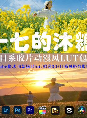 日系小清新宫崎骏动漫风明亮人像胶片LUT预设滤镜FCPX 调色达芬奇