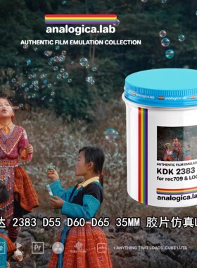 柯达2383 55D 60D 65D 35MM胶片真Lut Analogica Lab Kodak2383