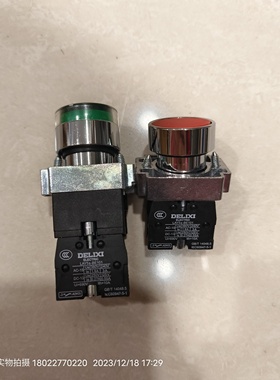 DELIXI德力西自复按钮带灯按钮两档旋钮红色急停LAY5s-BE101