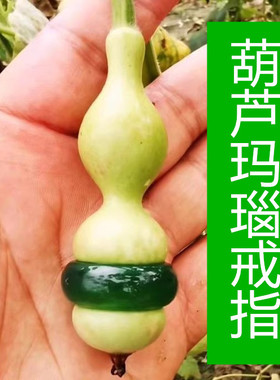葫芦玛瑙戒指套环八宝天津嘴小葫芦文玩把玩铁包金葫芦葫芦腰配件