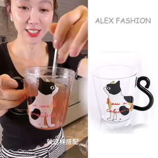 猫咪玻璃杯耐高温高硼硅牛奶杯早餐杯果汁杯 姜妍小红婶儿二胖同款