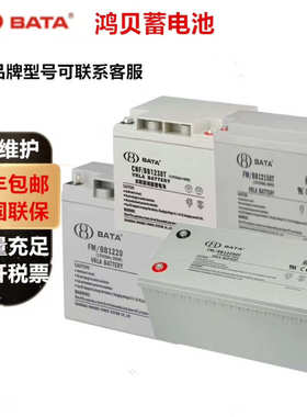鸿贝蓄电池BB12200T 12V200AHUPS电源系统消防电梯医疗设备门禁