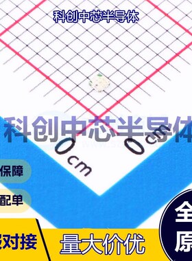 20个 XL-1010RGB-YG RGB LED SMD-4P,1x1mm 共阳极 120° 无色透