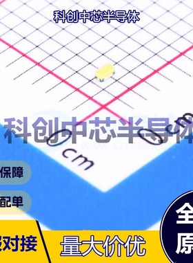 10个 16-213/T3D-AP1Q2QY/3T 发光二极管/LED 0402 白色 110mW 5m