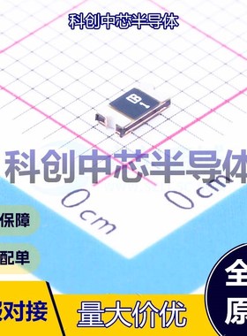 20个 SMD1206B012TF 自恢复保险丝 1206 30V 100A 125mA 290mA 全