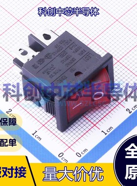 1个 RS601D-201N006RB 船型开关 插件 21mm 15mm 16.5mm 凹面弯曲