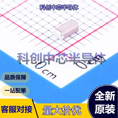 50个 1206CG470J102NT 贴片电容(MLCC) 1206 47pF ±5% 1kV C0G