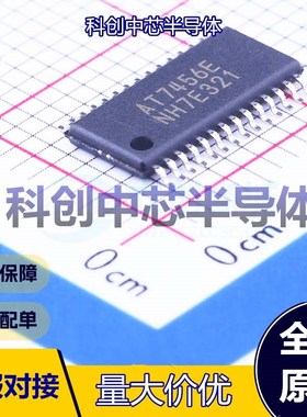 1个 AT7456E 单片机(MCU/MPU/SOC) TSSOP-28-EP     全新原装