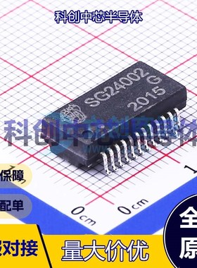 1个 SG24002G 网口变压器 SMD-24P,15.1x7.1mm 1:1    全新原装