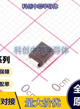 5个 SSL510B SMB(DO-214AA) 表面贴装肖特基势垒整流器 反向电压-
