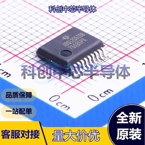 1个 ADS1255IDBR 模数转换芯片ADC SSOP-20-208mil 24位 30kHz 1