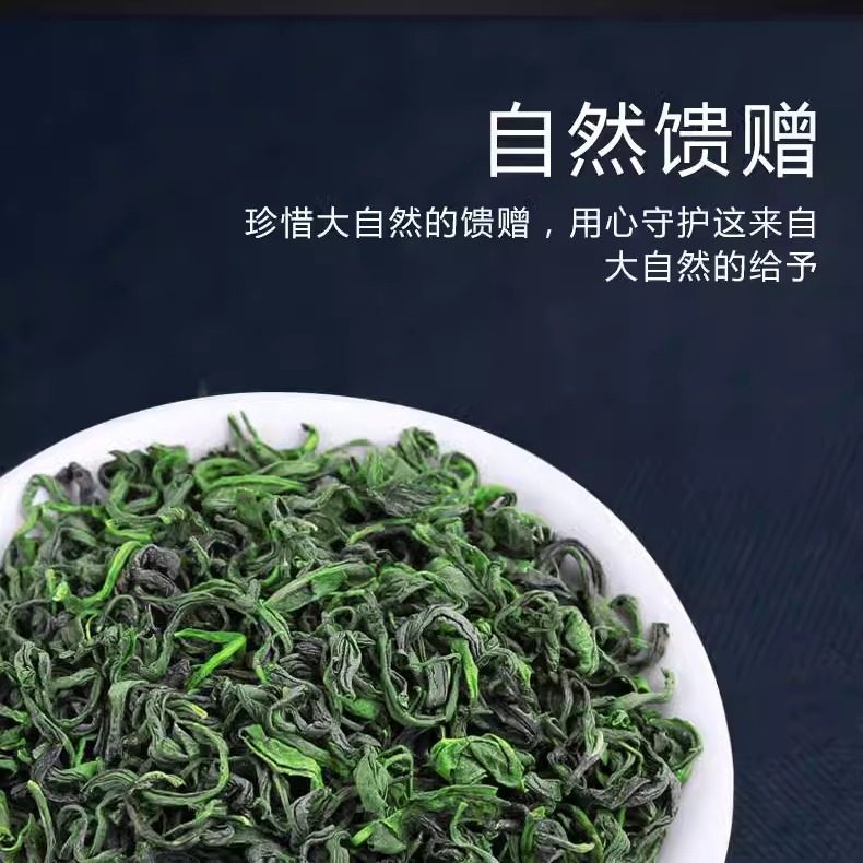 崂山绿茶今年新茶浓香耐泡清香
