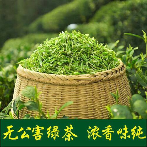 一斤包邮浓香耐泡批发日照绿茶