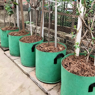 高筒美植袋加厚无纺布种植袋阳台楼顶种植箱育苗花盆蔬果植树袋