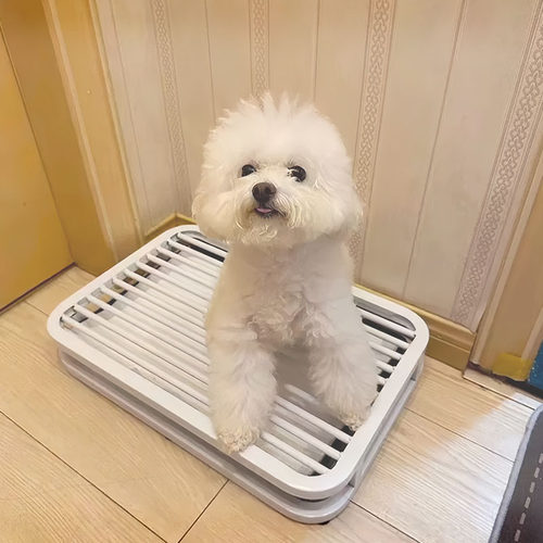 宠物专用防踩屎抽屉式便盆托盘狗狗厕所狗砂盆大号尿盆中小型犬