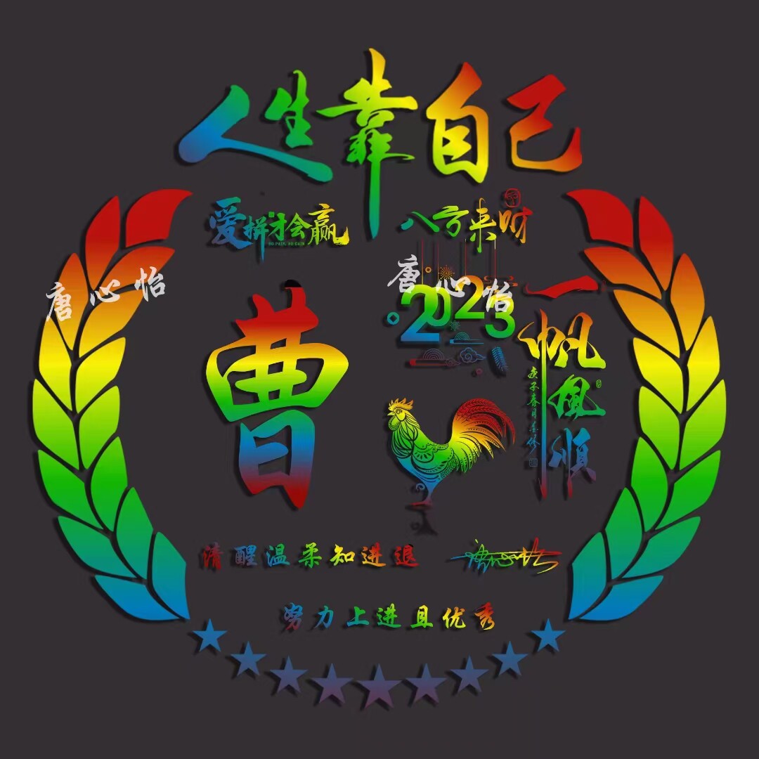 微信抖音小红书直播间同款姓氏头像设计制作用名字生肖做头像定制