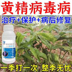 黄精黄叶根腐专用药黄精病全治杀菌剂黑斑病叶斑病炭疽病灰霉病