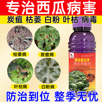西瓜专用杀菌剂西瓜种植蔓枯病白粉炭疽脐腐疫病卷叶枯萎猝倒霜霉