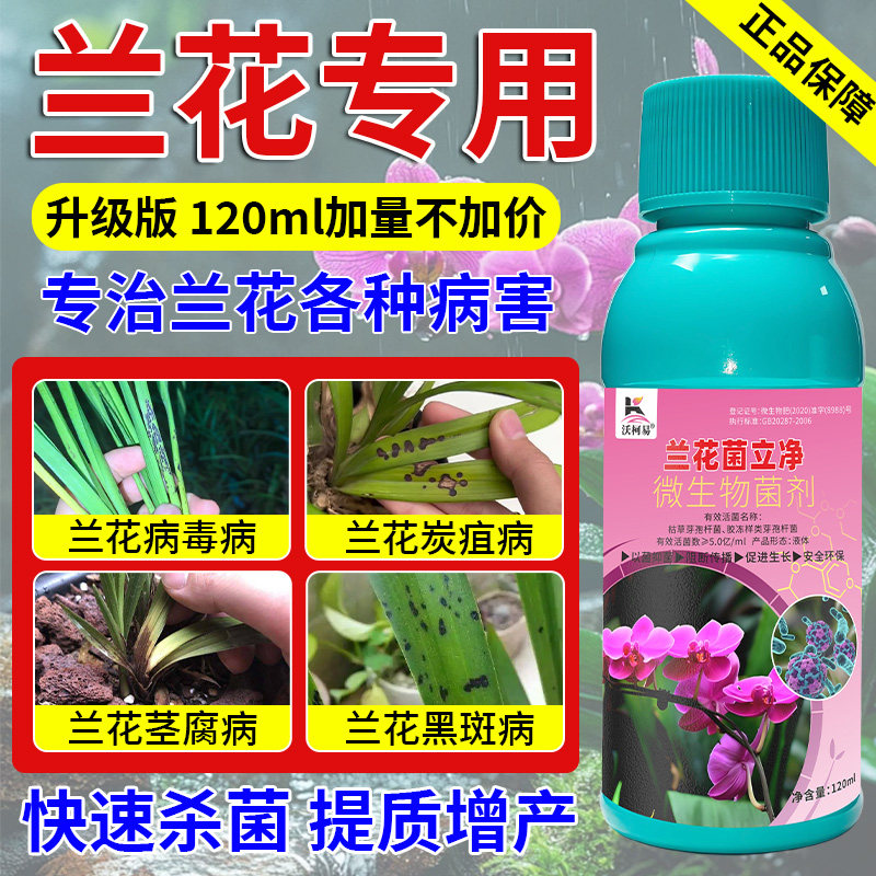 兰花专用杀菌药黑斑病叶斑炭疽治黄叶焦尖叶子蝴蝶兰君子兰杀菌剂