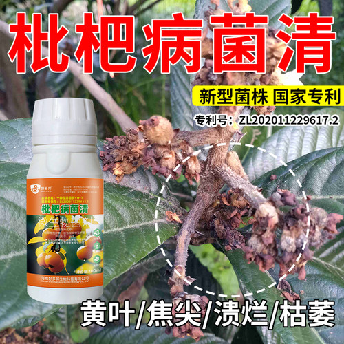 枇杷病害清专用杀菌剂枇杷炭疽病褐腐灰霉烟煤叶斑病腐烂专用药