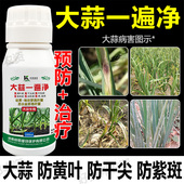 大蒜专用药大蒜黄叶病药黄叶干尖叶枯紫斑白粉锈病专用一遍净