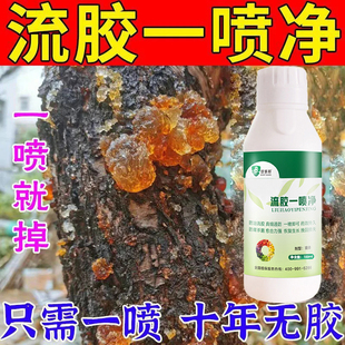 流胶一喷净李子桃树流胶病专用药溃疡腐烂病流胶一喷净流胶穿孔病