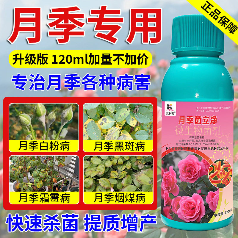 沃柯易月季菌立净黑斑霜霉白粉烟煤锈病黄叶焦尖枯萎炭疽专用药