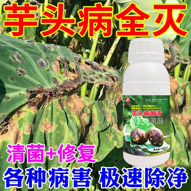 芋头病专用杀菌剂专利配方芋头疫病炭疽病病毒病软腐病专用药正品