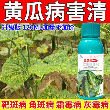 沃柯易黄瓜菌立净灰霉霜霉炭疽病毒白粉软腐蔓枯褐斑猝倒专用药