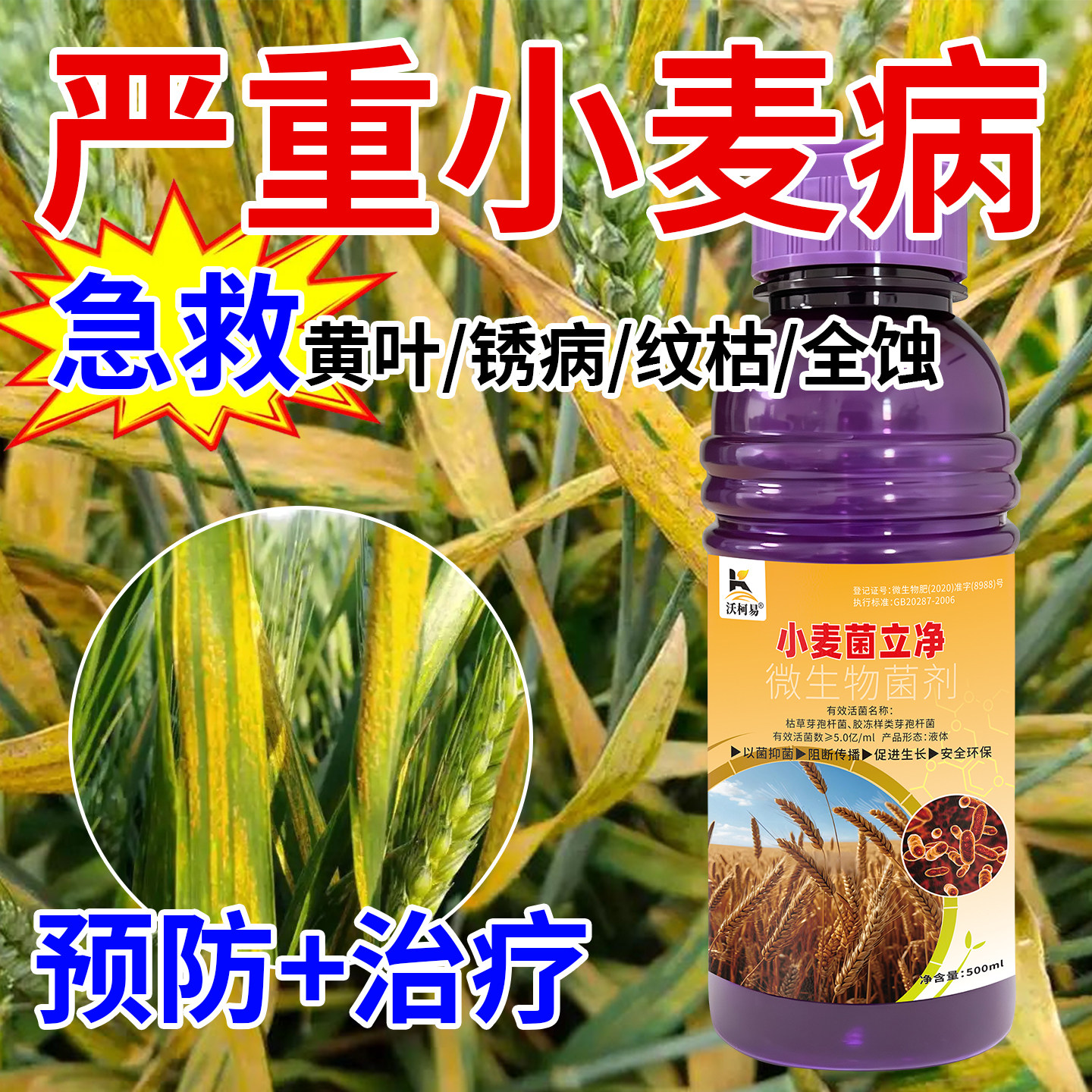 小麦专用杀菌剂种植帮手黄叶霜霉基腐白粉黑穗全是纹枯锈病根腐