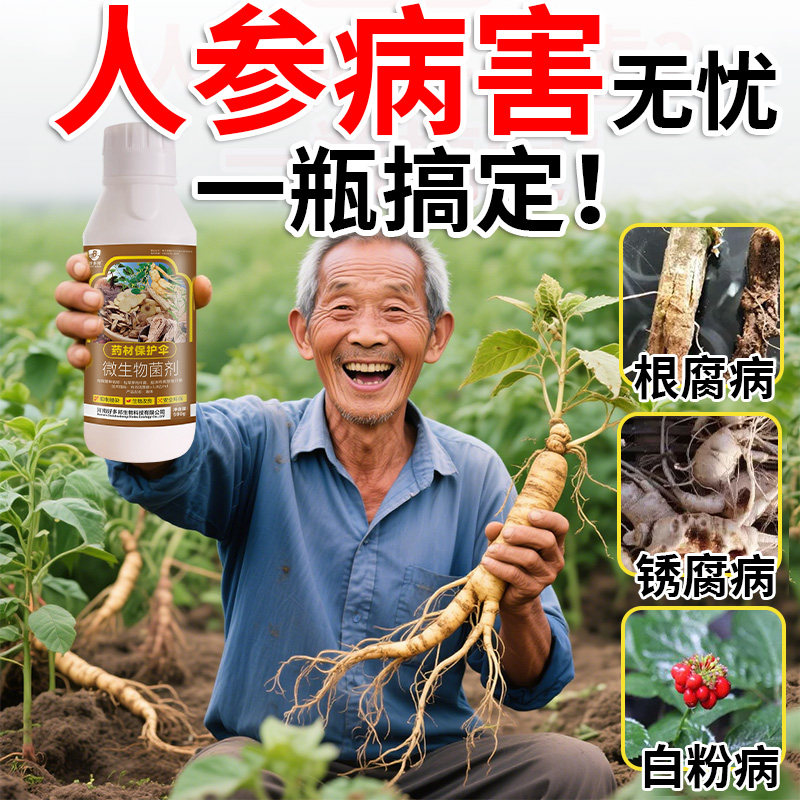 人参专用杀菌剂防治丹参人参党参太子参玄参西洋参各种病害效果好