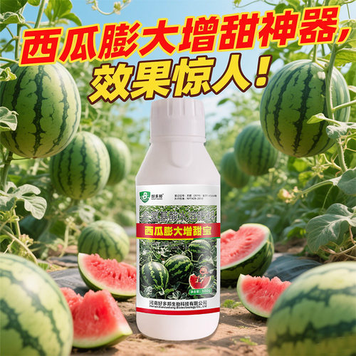 西瓜专用膨大素大西瓜甜瓜膨大剂猛长增甜膨果肥种西瓜肥料专用肥