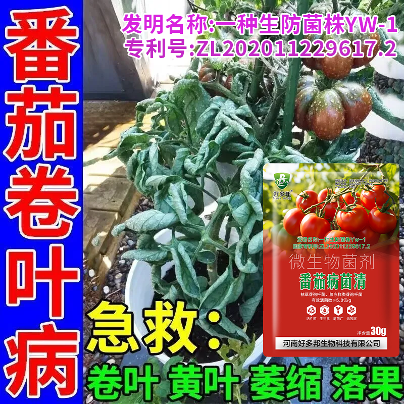 番茄病菌清专利配方番茄花叶卷叶青枯立枯灰霉白粉软腐根腐病专用