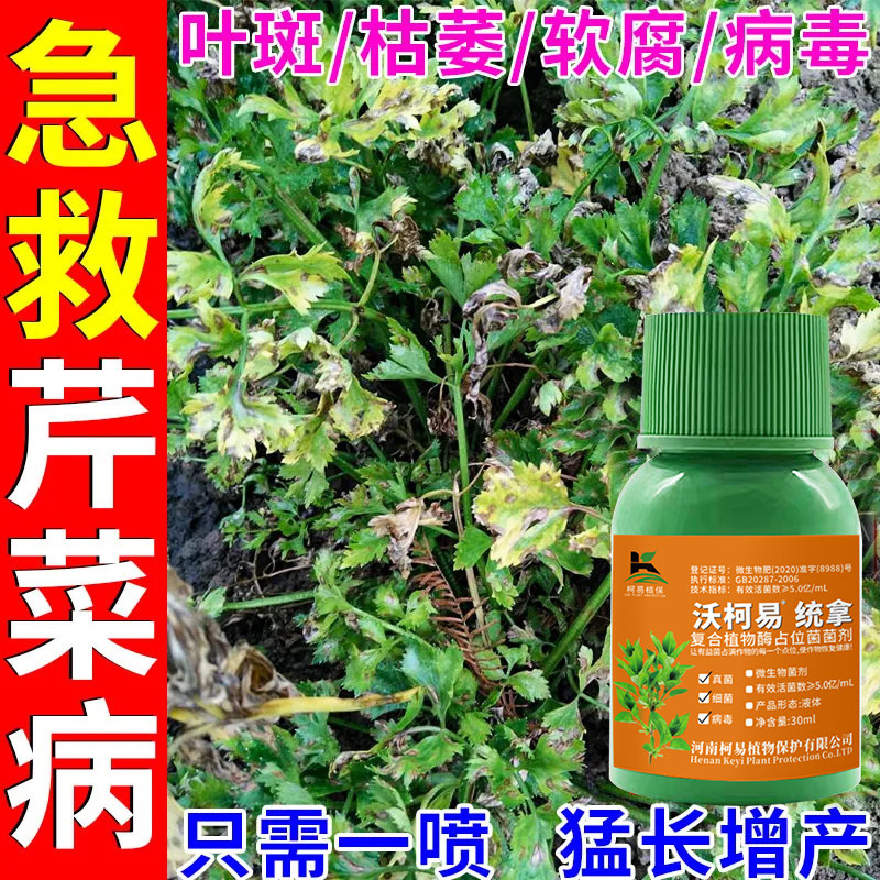 芹菜病害全治芹菜专用药叶斑叶枯软腐根腐黑腐霜霉黄萎斑枯病专治