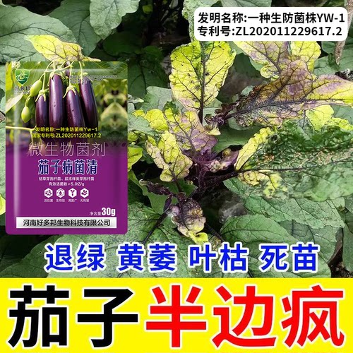 茄子病菌清专利技术配方茄子黄萎病茄子炭疽病茄子绵疫灰霉白粉病
