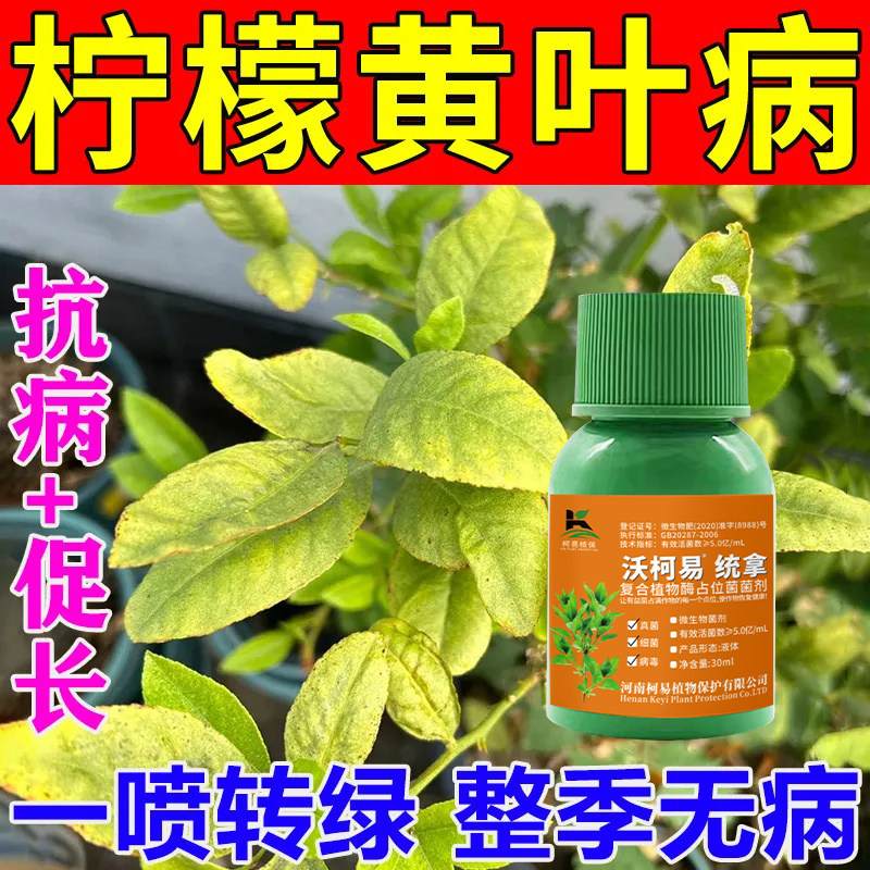 柠檬杀菌剂柠檬病全治霜霉病炭疽病煤烟病溃疡病白粉病专用杀菌剂
