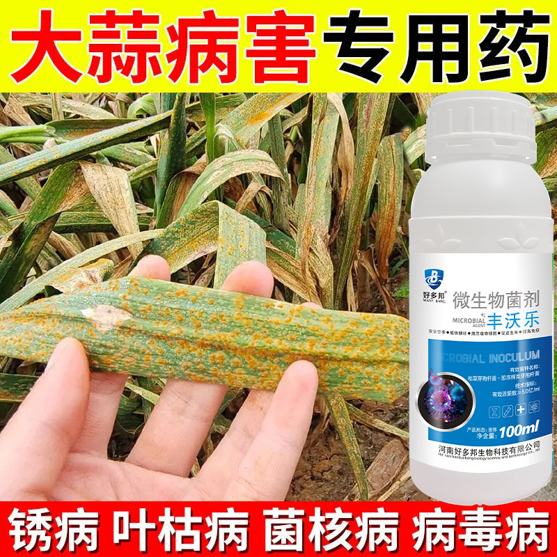 大蒜专用药肥料蒜苗黄叶病根腐锈斑葱蒜韭干尖灵枯增产防病杀菌剂