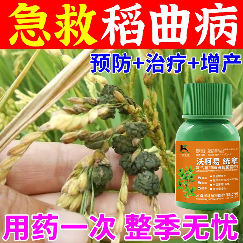水稻稻瘟病稻曲病纹枯病恶苗病叶斑病全治水稻专用微生物菌剂