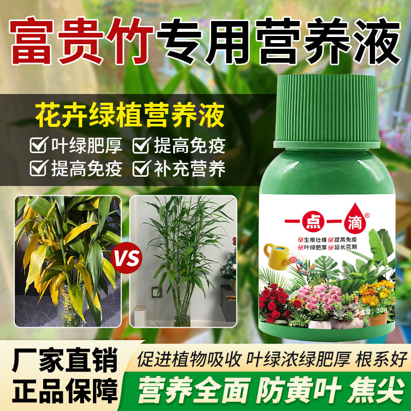 【正品保证】富贵竹营养液专用叶黄家用植物生根花肥水养土养肥料