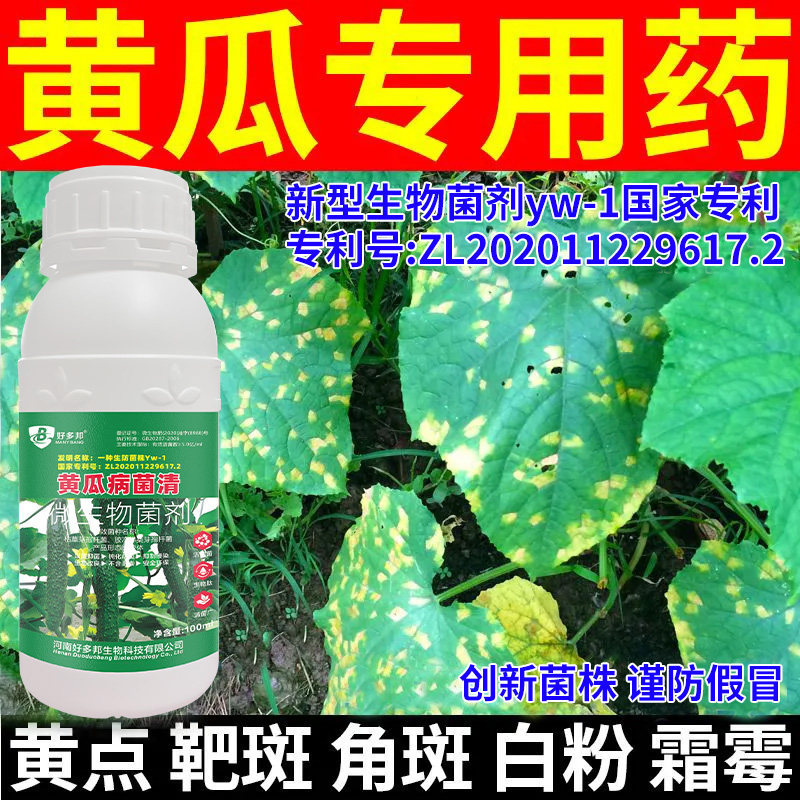 黄瓜病害清专利技术配方黄瓜叶斑病软腐病灰霉炭疽病落花落果化瓜