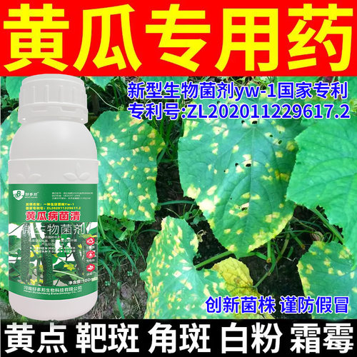 黄瓜病害清专利技术配方黄瓜叶斑病软腐病灰霉炭疽病落花落果化瓜