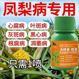 凤梨叶斑病专用药凤梨病全治叶片发黄发紫褐斑心腐病凋萎病杀菌剂